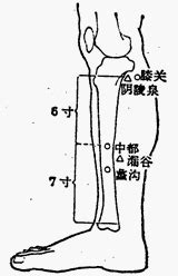 外觀穴|醫砭 » 經穴庫 » 外關